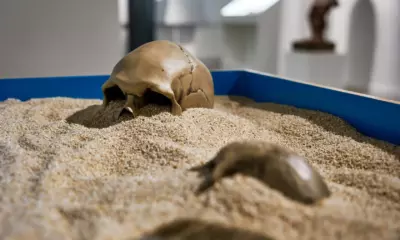 краснохолмская галерея