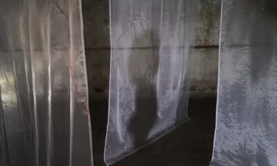 Галерея Бомба, выставки Ольги Скугги «Туманная перспектива»