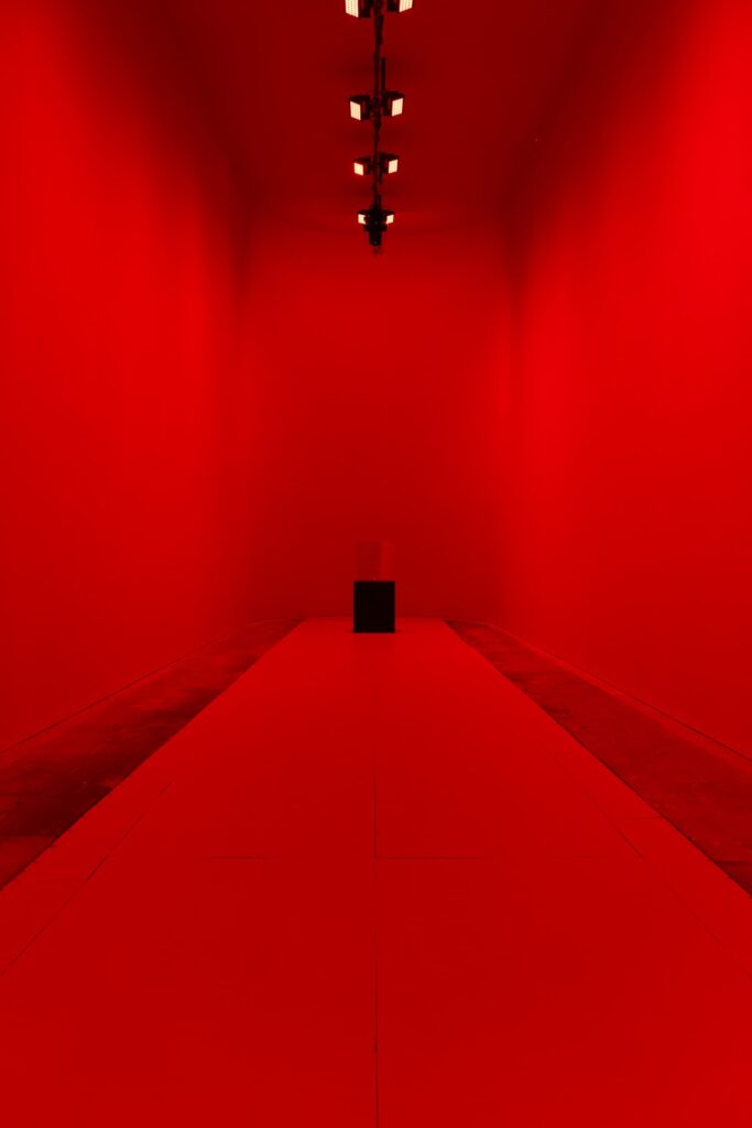 In Minor Keys, 61st installation views featuring Rose Salane (above) and Alfredo Jaar (below). Photo: Luca Zambelli Bais. 