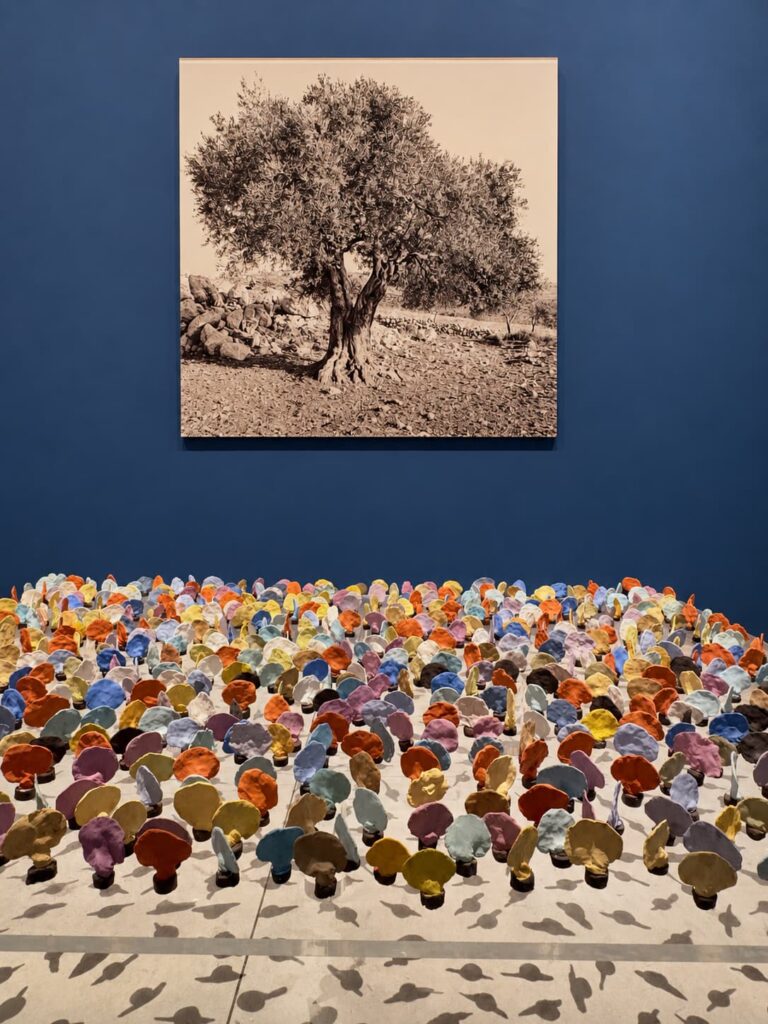 vera tamari tale of a tree, 2002 48 31