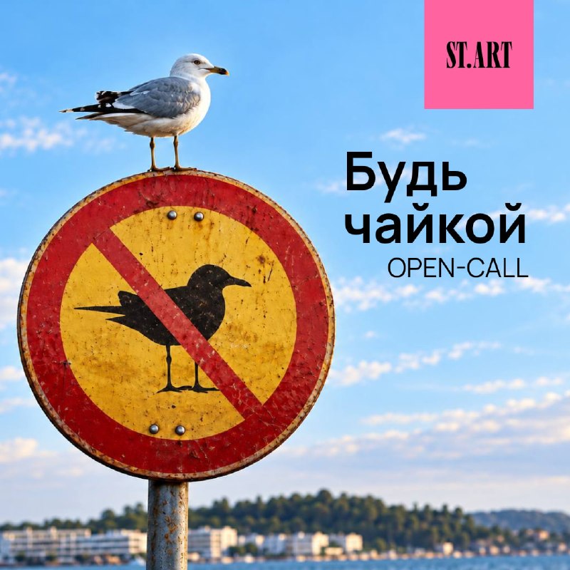 Опен-колл ST. ART «Будь чайкой»: бесплатная публикация для художников Афиша: Опен-колл ST. ART «Будь чайкой»: бесплатная публикация для художников